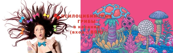 ГАЛЛЮЦИНОГЕННЫЕ ГРИБЫ Заводоуковск