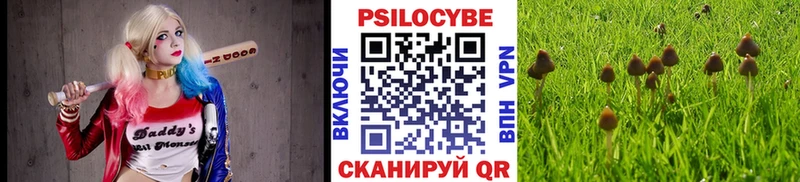 Купить где  Нижний Новгород  Галлюциногенные грибы Cubensis 